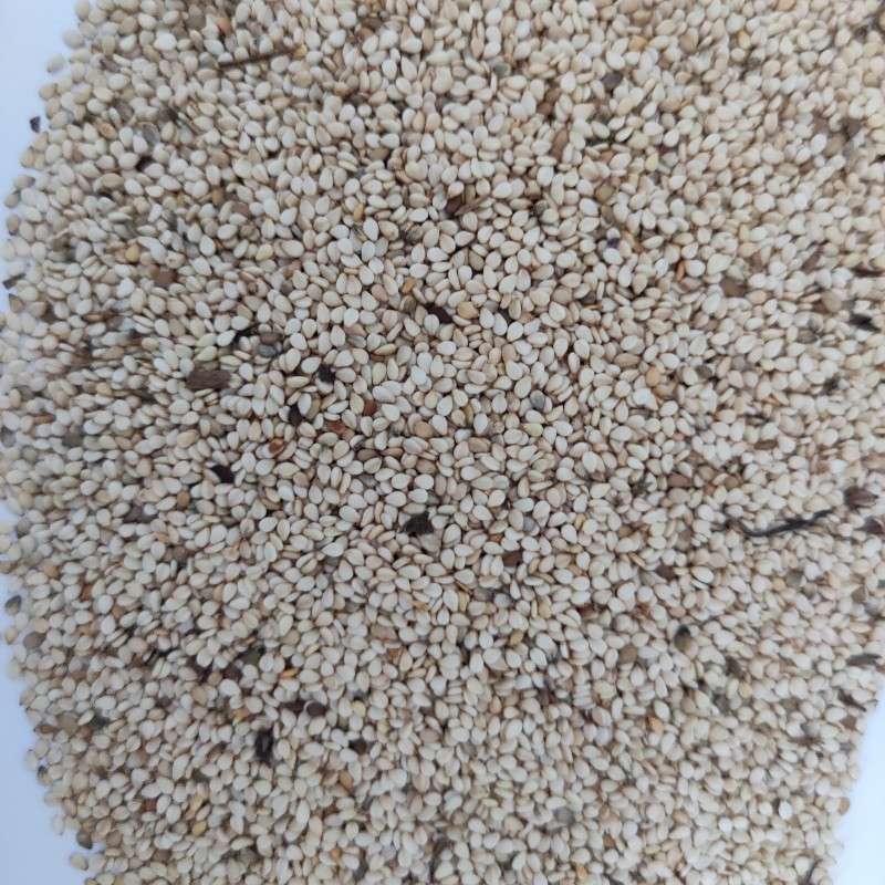 出售尼日尔白芝麻一级