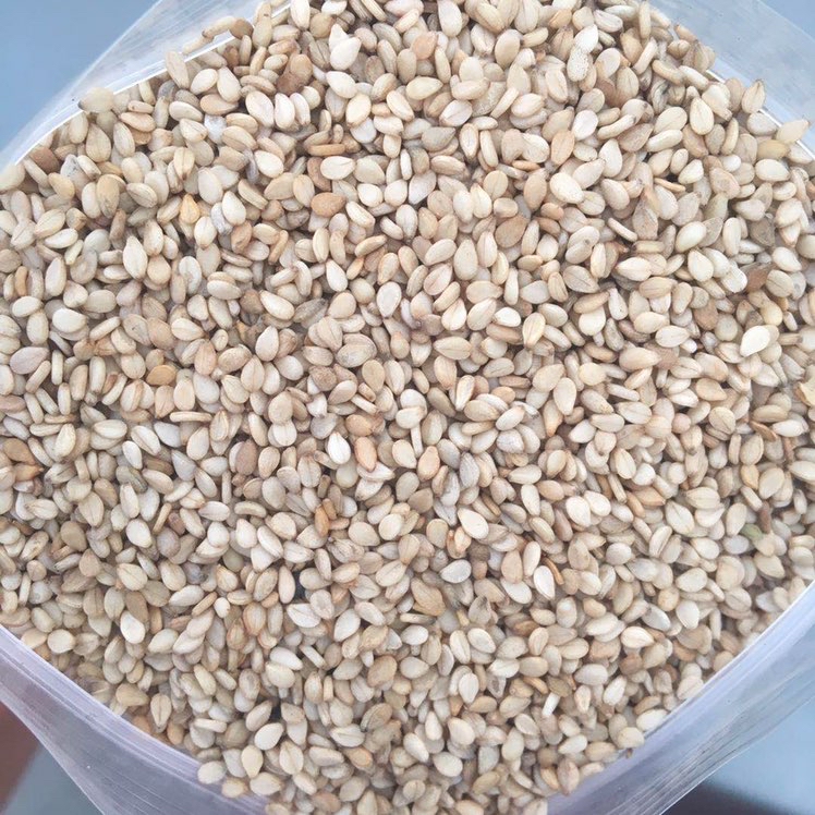 出售尼日尔白芝麻一级