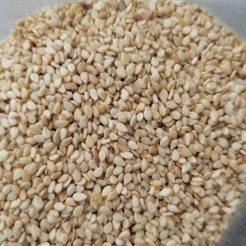 出售莫桑比克白芝麻一级