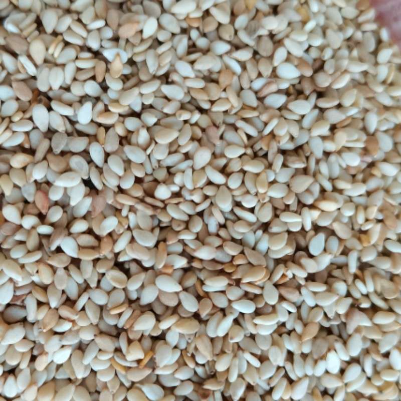 出售尼日尔白芝麻一级