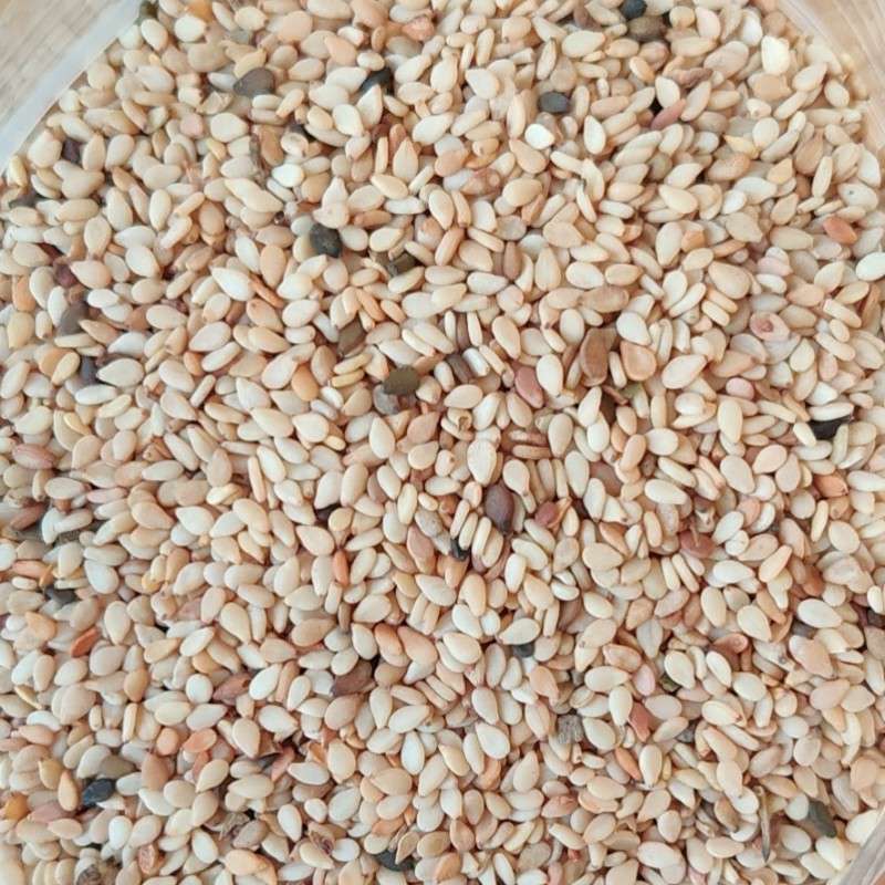 出售尼日尔白芝麻一级