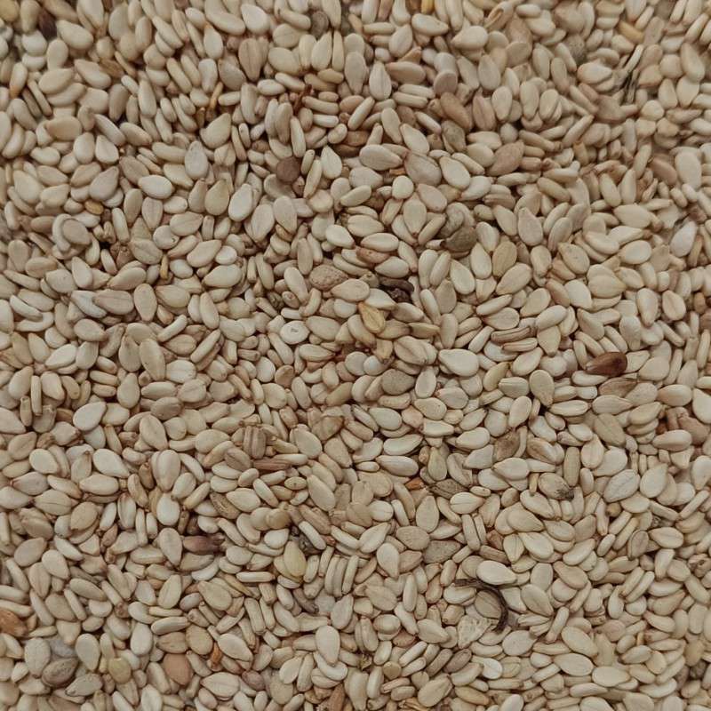 出售埃塞白芝麻一级