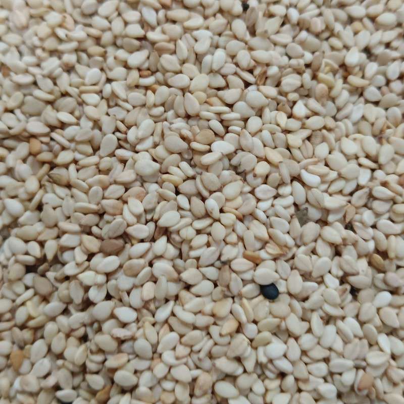 出售埃塞白芝麻一级