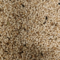 白袋子中国青岛二号交割仓尼日尔一级白芝麻