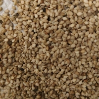 白袋子中国青岛二号交割仓多哥一级白芝麻