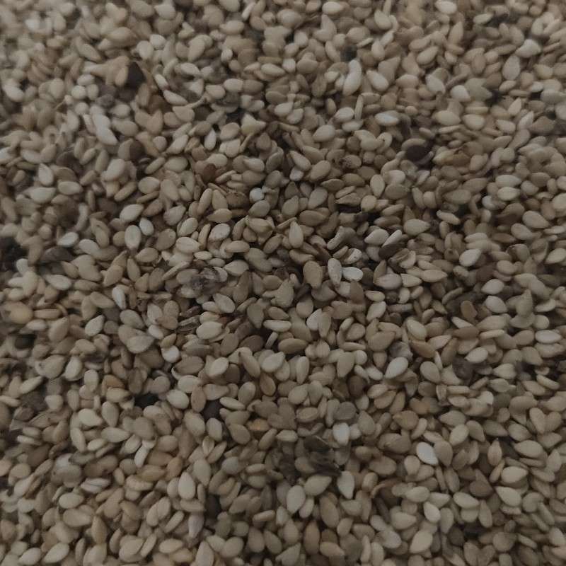 红心中国青岛一号交割仓尼日尔一级白芝麻